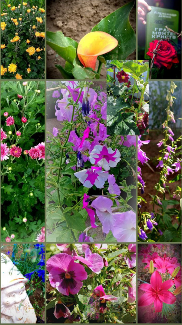 Первые 10 ваших фотографий