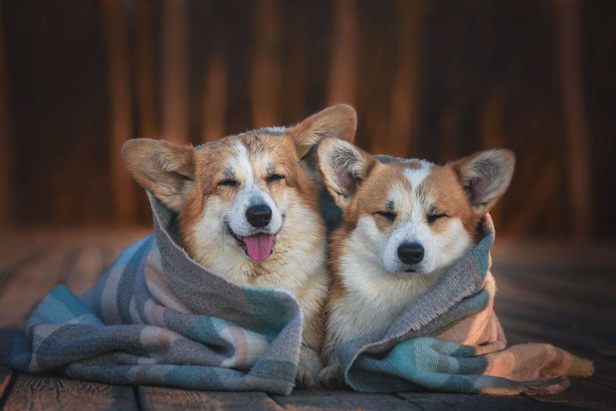 Утомленные малыши 