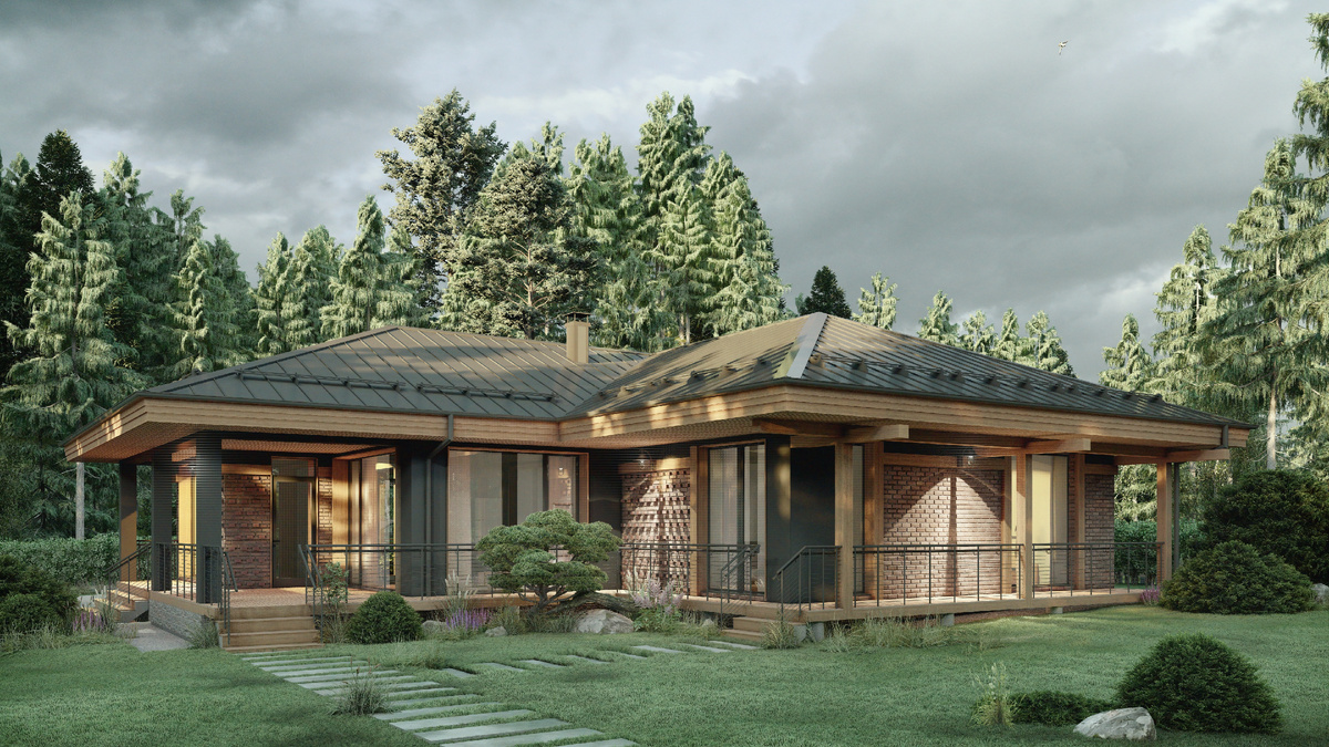 Перспектива Вид 2