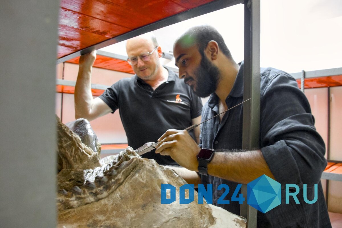    ДОН24   📷   ДОН24   📷   ДОН24