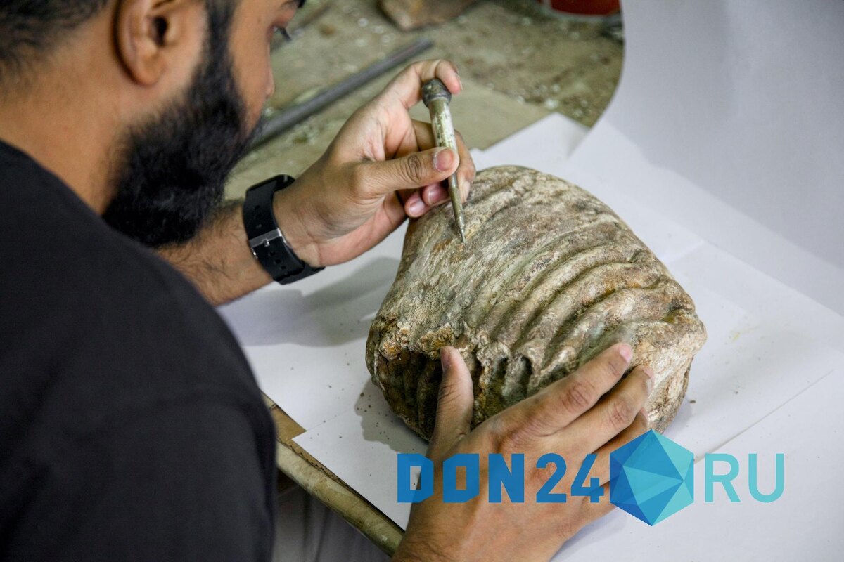    ДОН24   📷   ДОН24   📷   ДОН24