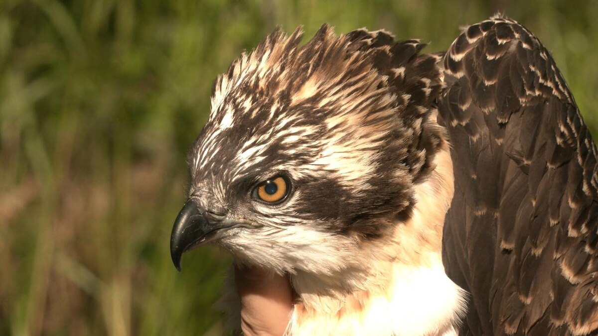 Павел Глазков/ВКонтакте