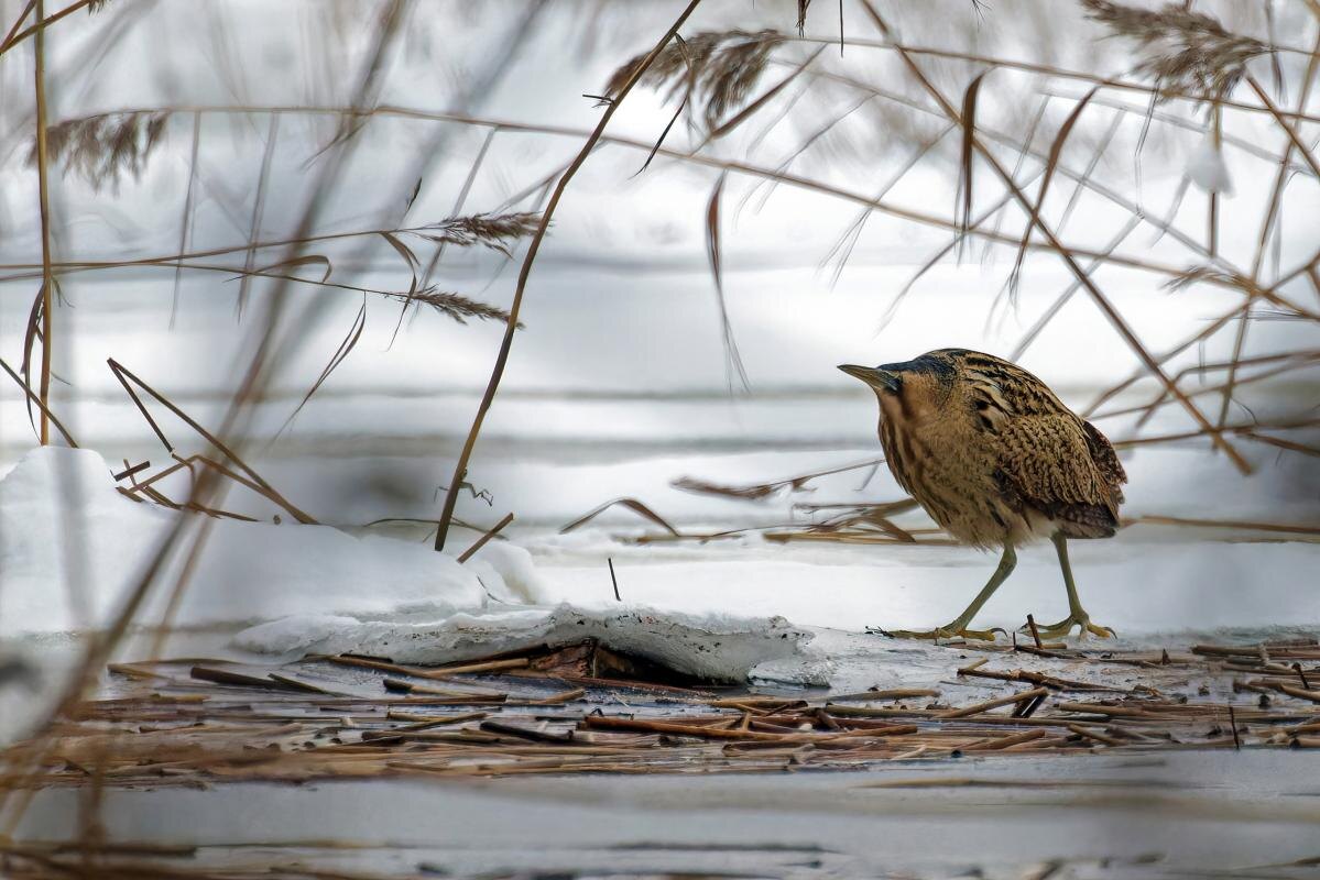Фото: Павел Глазков, Андрей Иванов