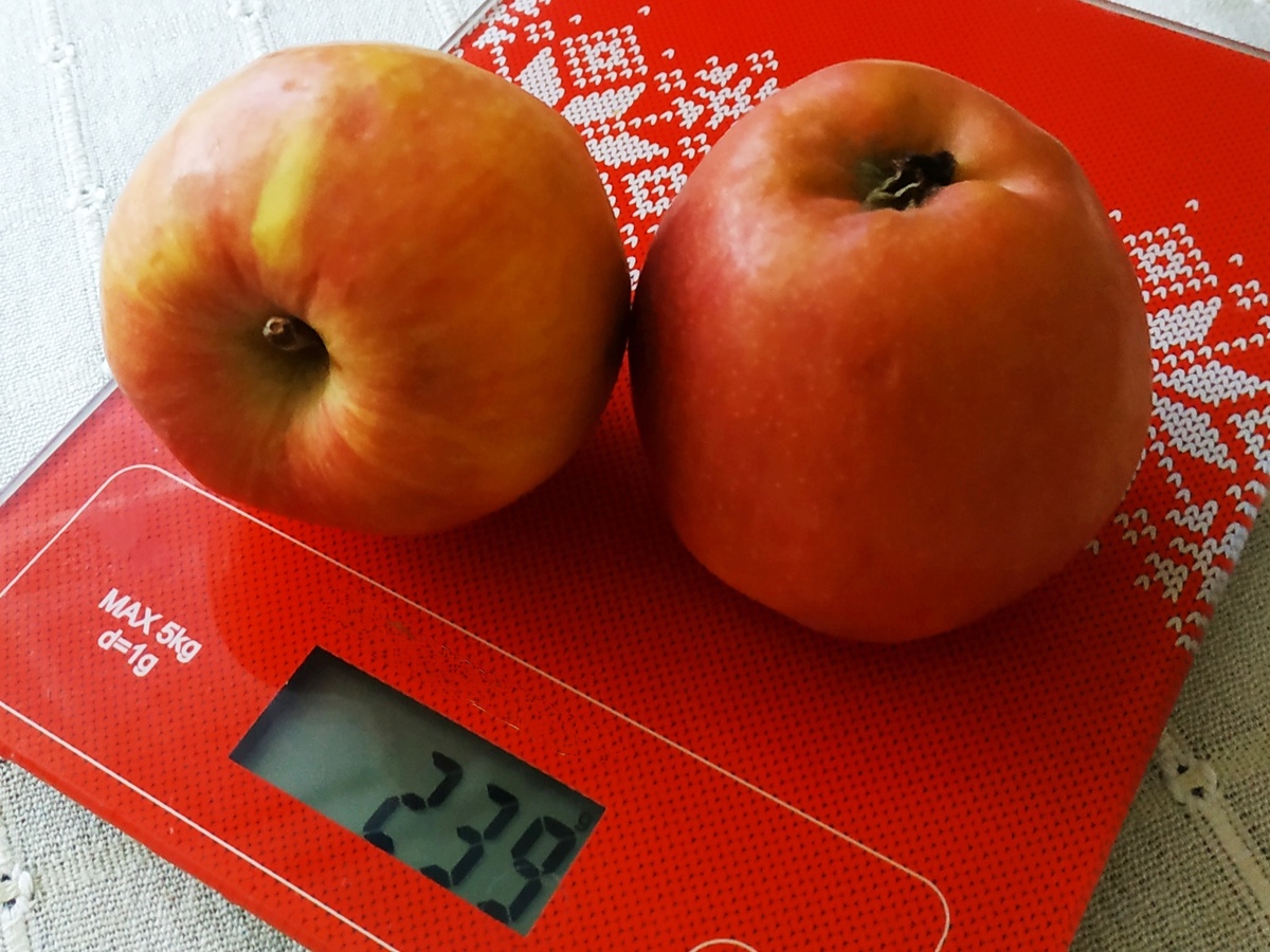 Фото автора.