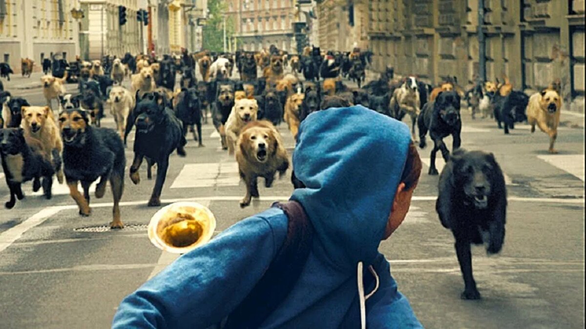 Нет большей подлости, чем уговавривать сесть за стол переговоров со зверем! Таким образом вы провоцируете зверя своей беспомощностью (как сами переговорщики, так и те, кто их уговаривает...)