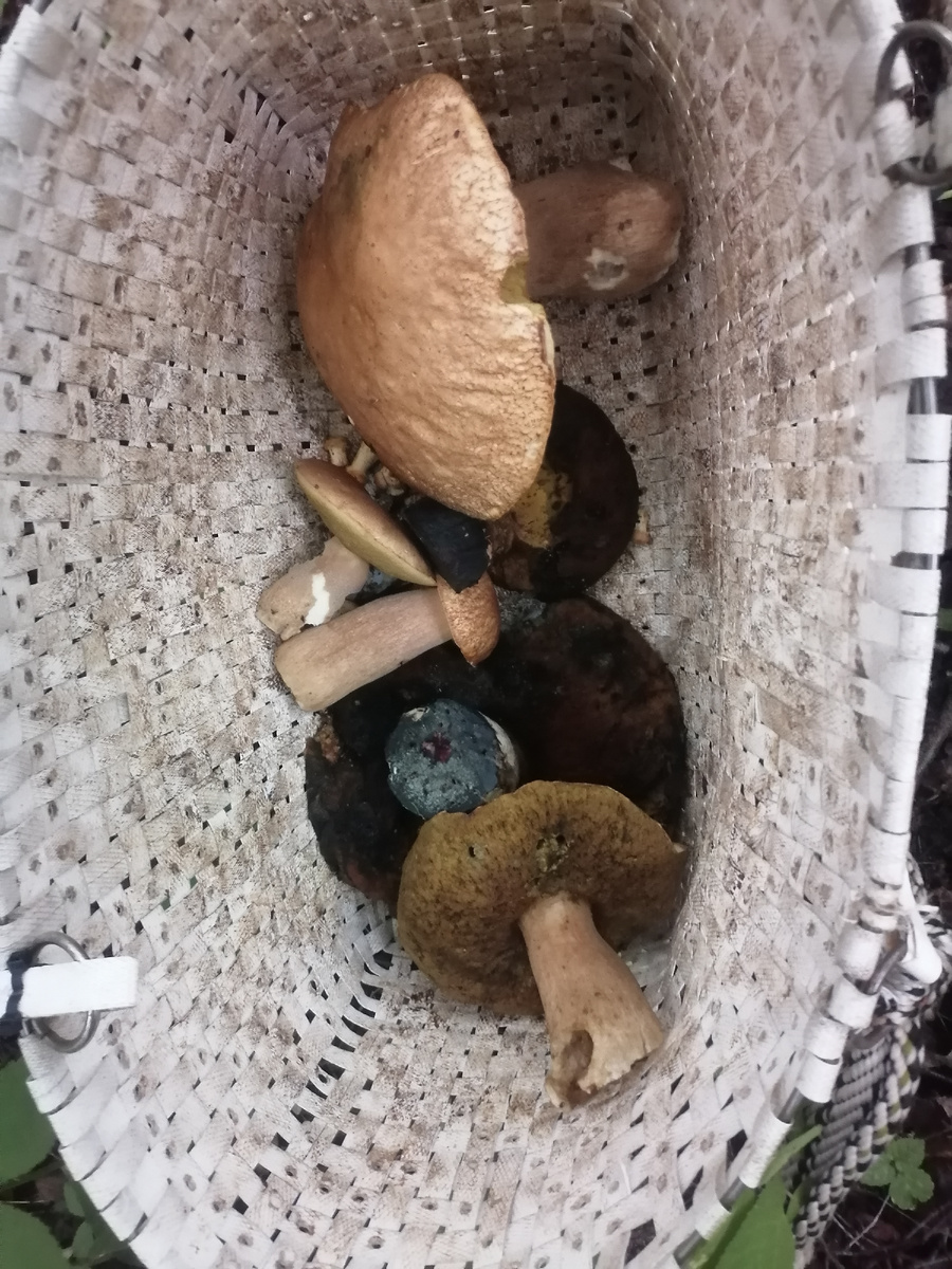 Из личного архива