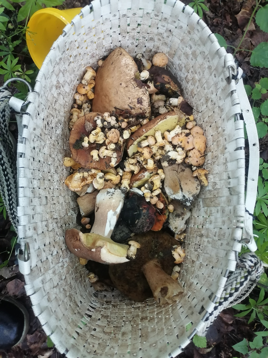 Из личного архива