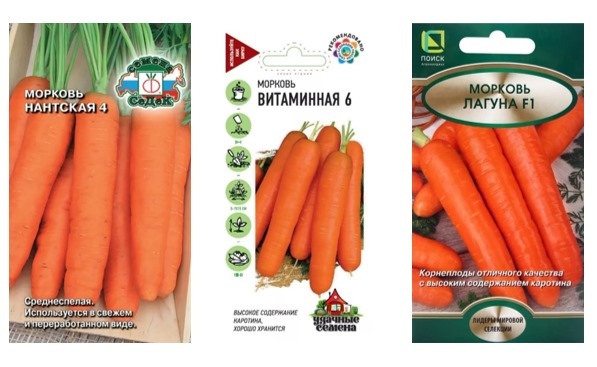 Сейте в смеси с песком — так семена распределятся равномерно!😉