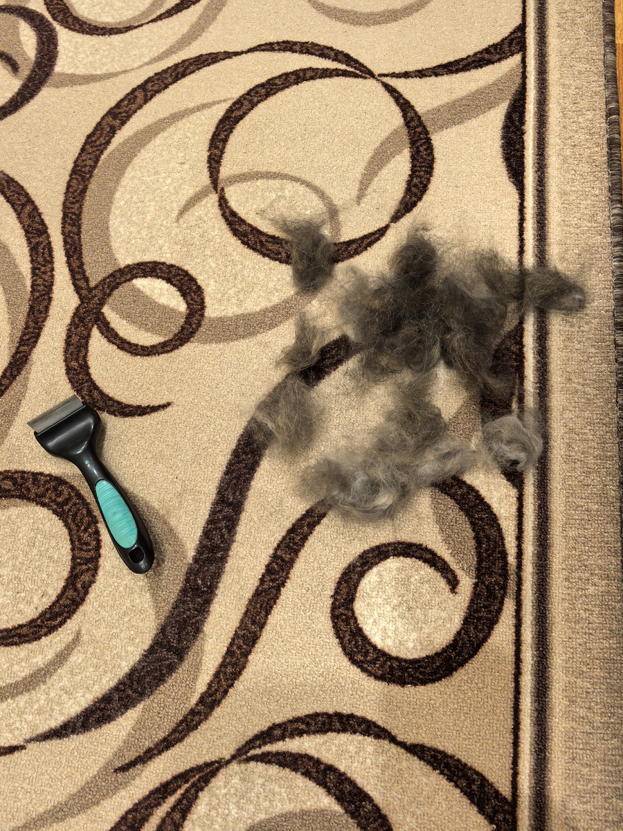 Котинькина шерсть