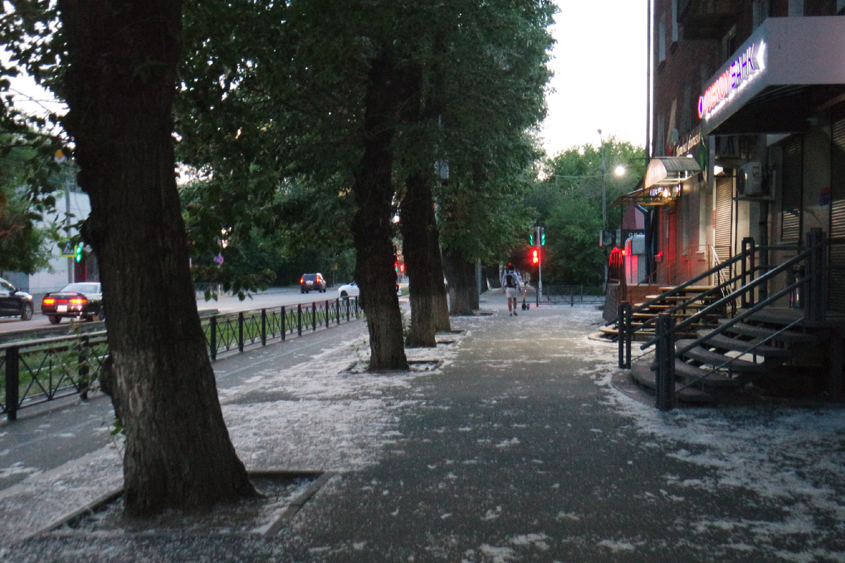 "есть в тополях иркутских то, чего не отыскать в их братьях зарубежных..." Анатолий Кобенков