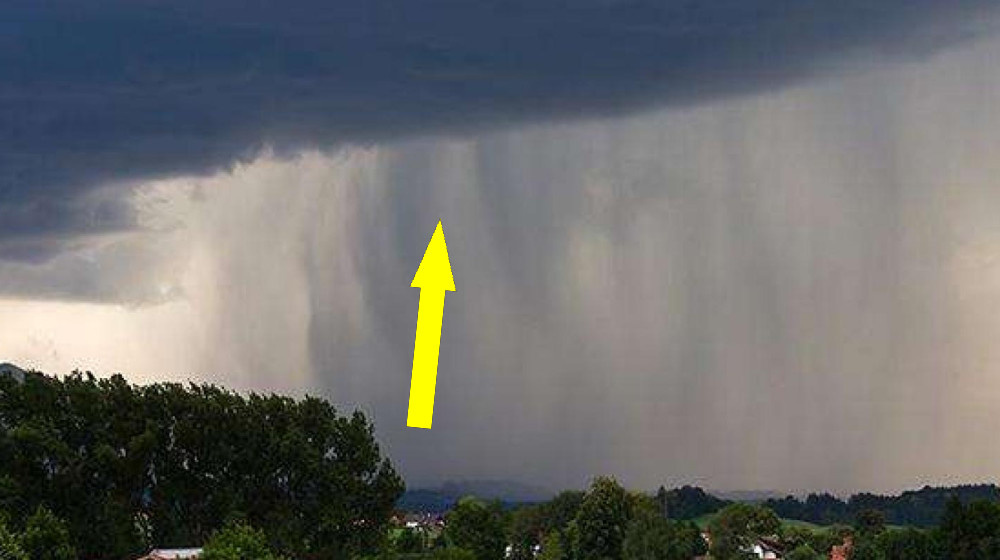    РЫБЫ И ЛЯГУШКИ с небес как загадка природы