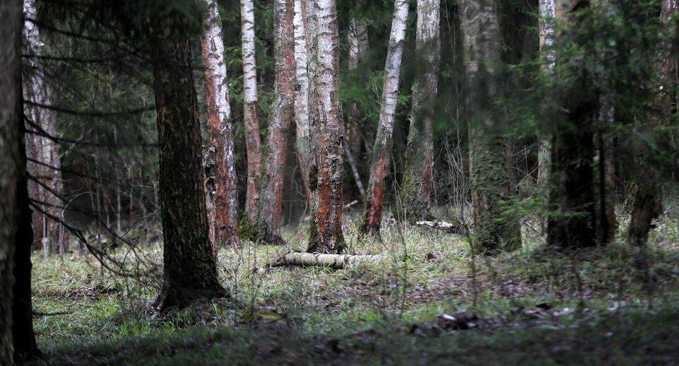    РИА «Новости»