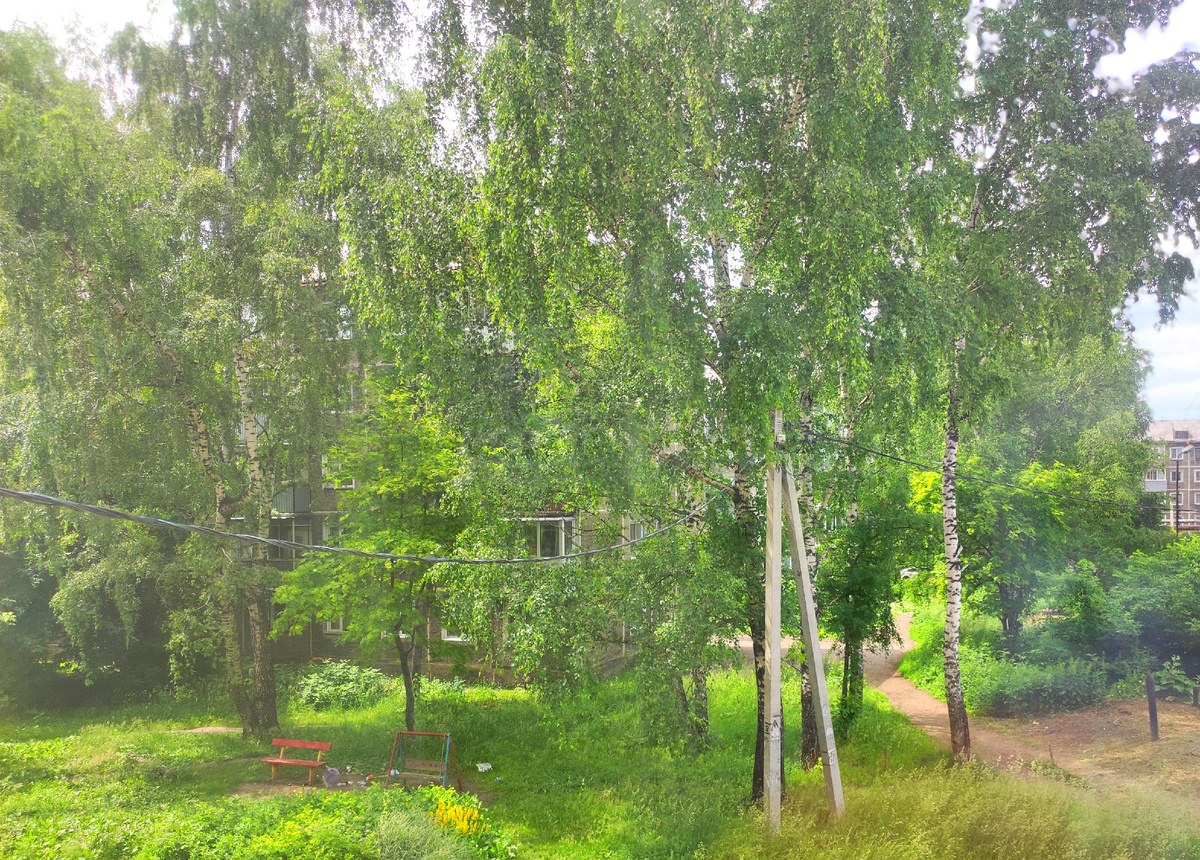 Фото автора