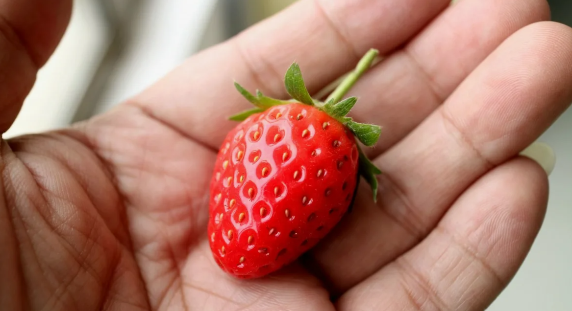 мелкая клубника