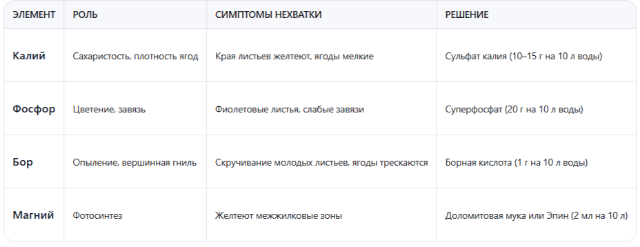 Основные элементы для крупных ягод