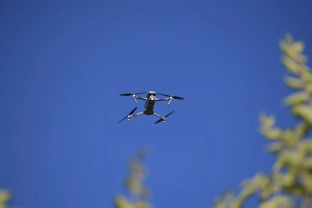 Источник: РИА Новости