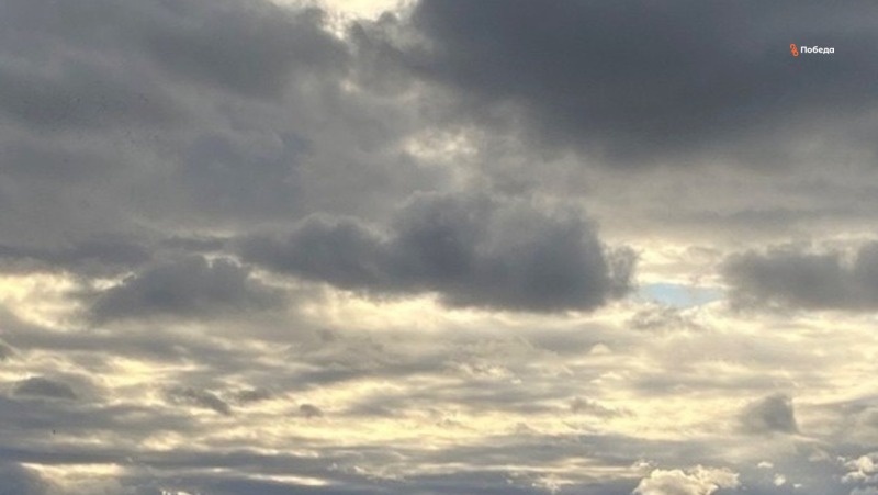      Фото: ИА «Победа26»