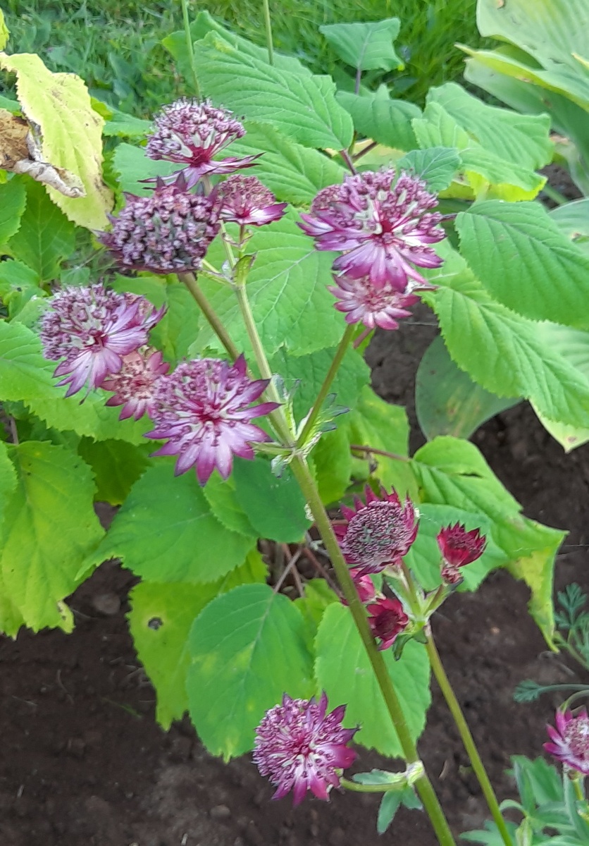 Июль 2024 год.