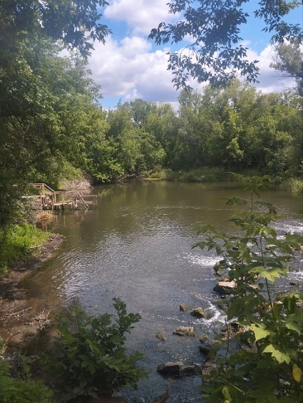 Речка каменка,очень красивое место ,мне очень нравится эта тишина