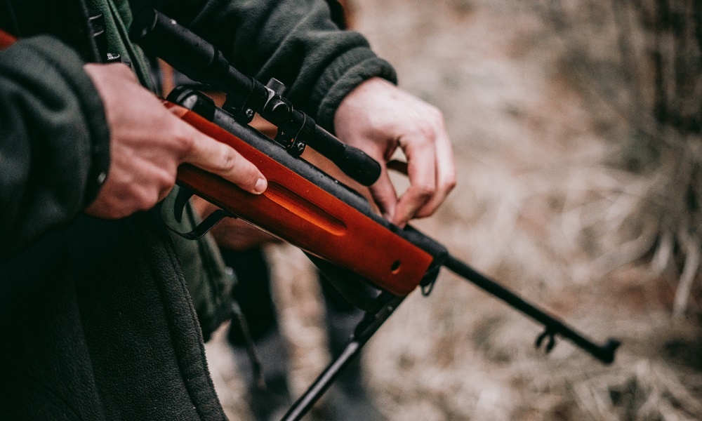 Они убивали их не по одной, а пачками, теряя разум от жадности...