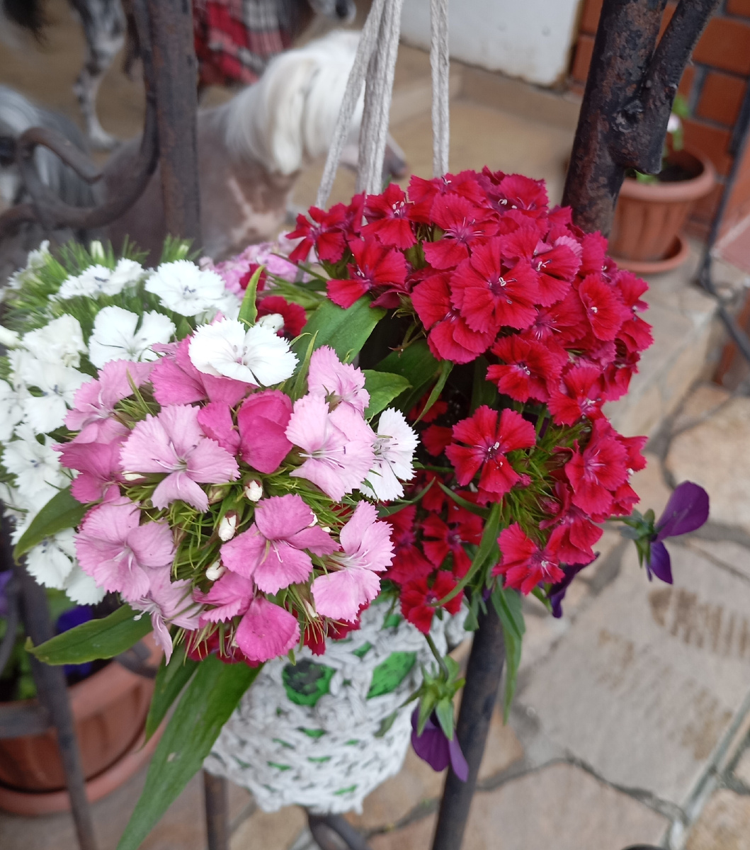 День сегодня немного печальный и дождливый, но это не повод впадать в уныние.