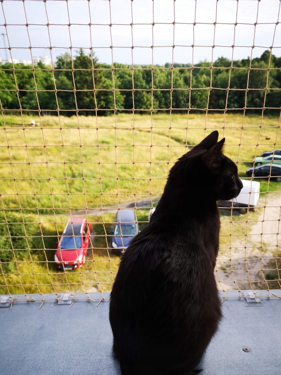 Взято с открытого источника.