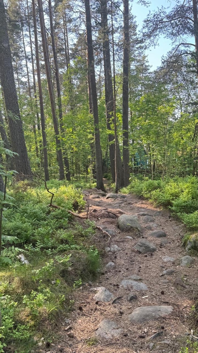 Та самая тропинка и она одна! Разветвляется и соединяется снова( мимо не пройдете) Фото из личного архива автора