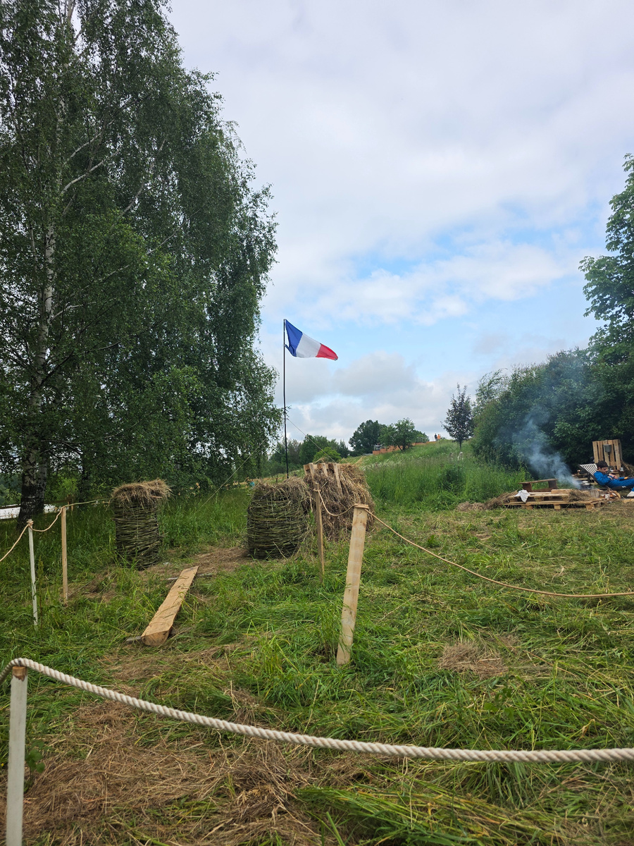 в городском парке внезапно французский флаг над кустом )