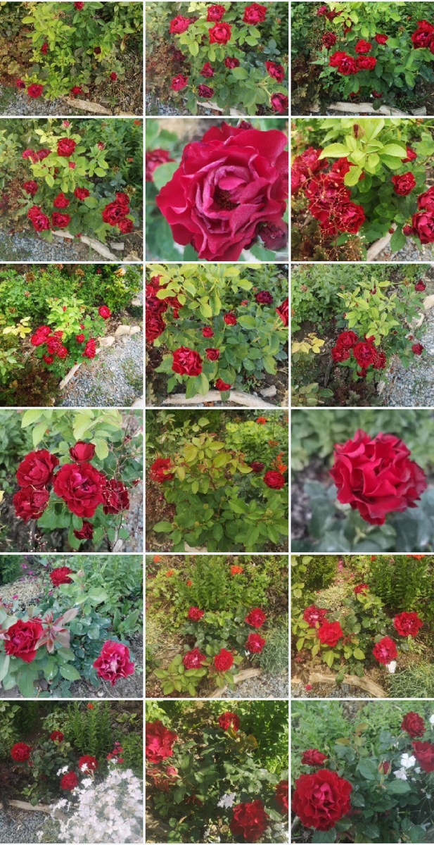 Скрин из галереи