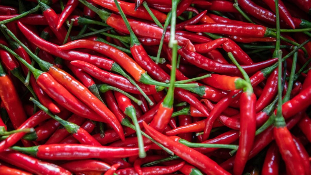    Ilya Moskovets/URA.RU/Globallookpress