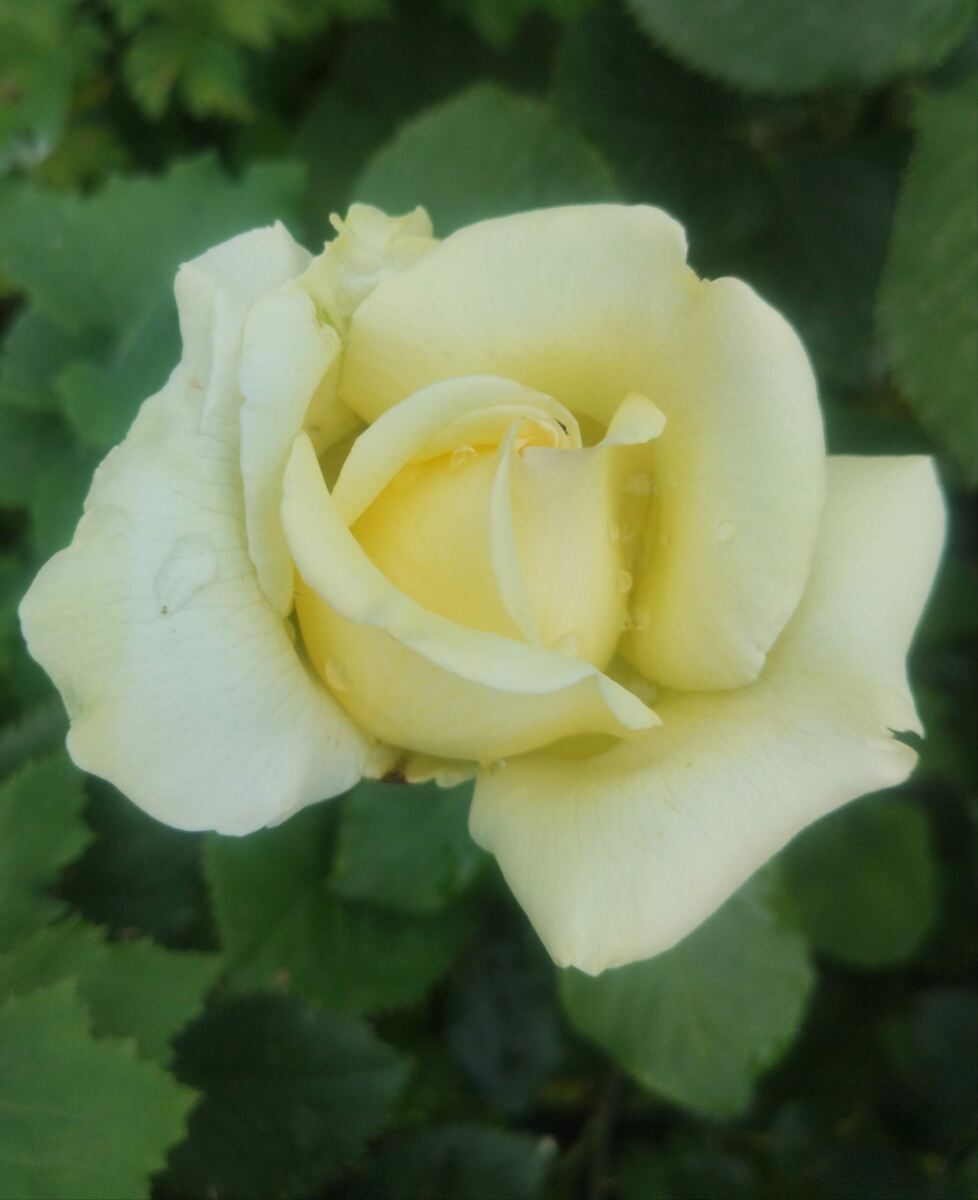 фото Татьяны