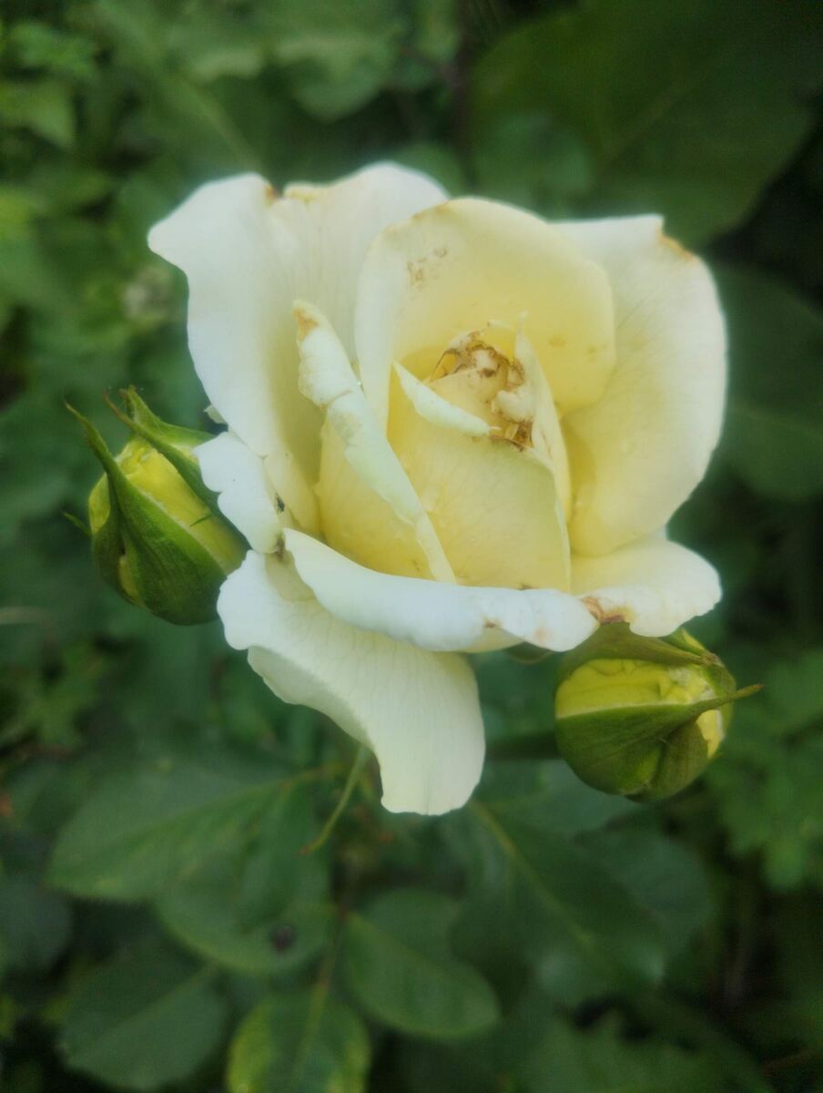 фото Татьяны