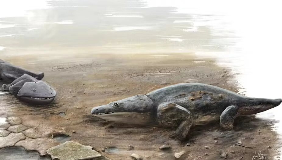 Опять невезучие метопозавры.