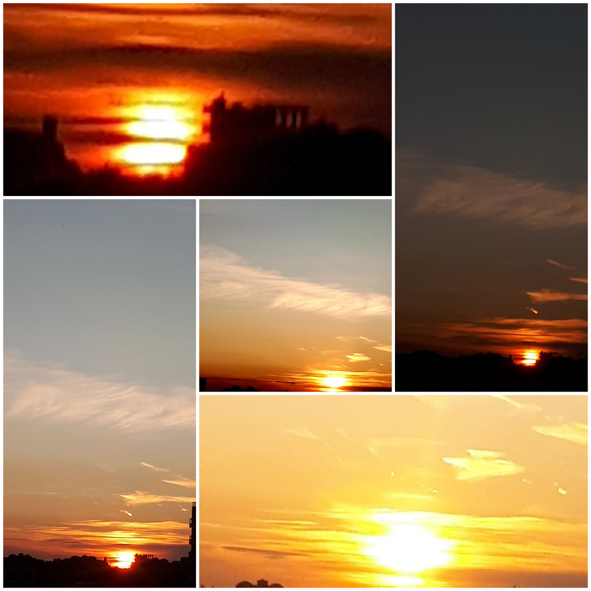 Фото автора 21.06.2025г.