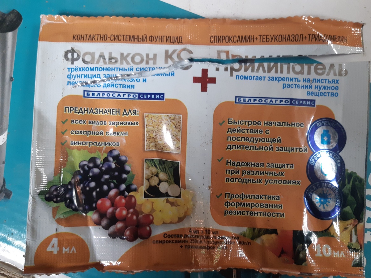 Фото подписчика 