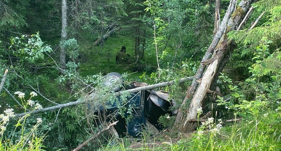    Прокуратура Ленобласти / Telegram