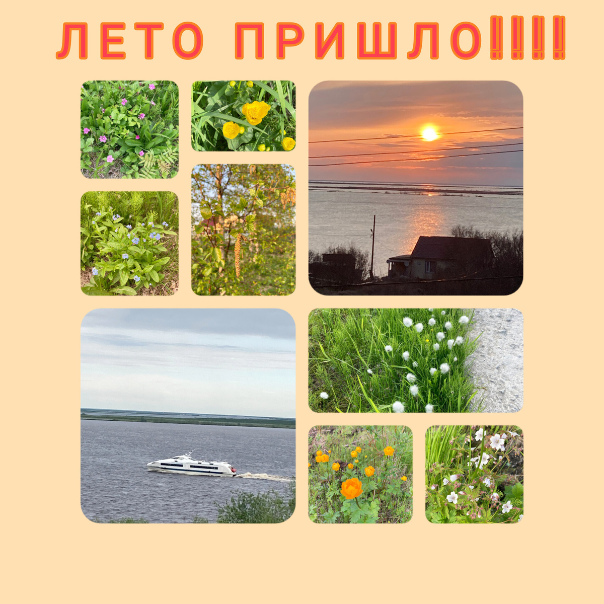 Июньское лето