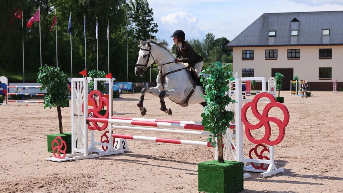     Источник: Росконгресс