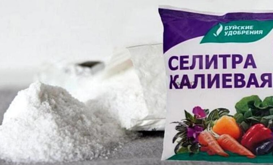 Можно использовать такую селитру 