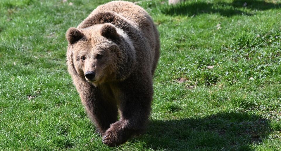    Bernd Weißbrod/dpa / www.globallookpress.com