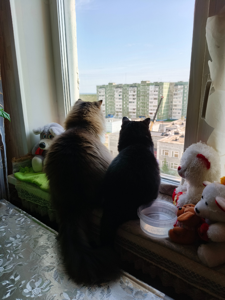 Филя и Мусика.