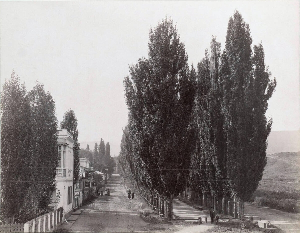 Тополевая аллея: 1882–1889 годы 