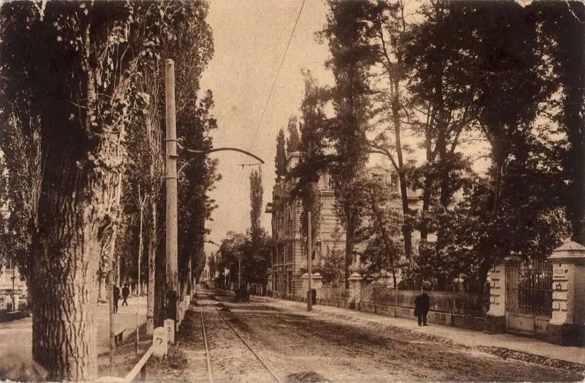 Тополевая аллея: 1904–1910 годы