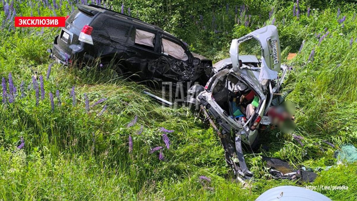 Два человека погибли при столкновении автомобилей в Куньинском районе
Фото: Telegram-канал «Псковская сводка. ПАИ»