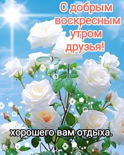 Фото из открытого источника в интернете.