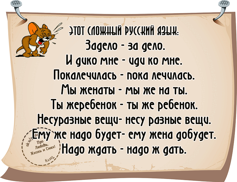 Фото из открытого источника в интернете.