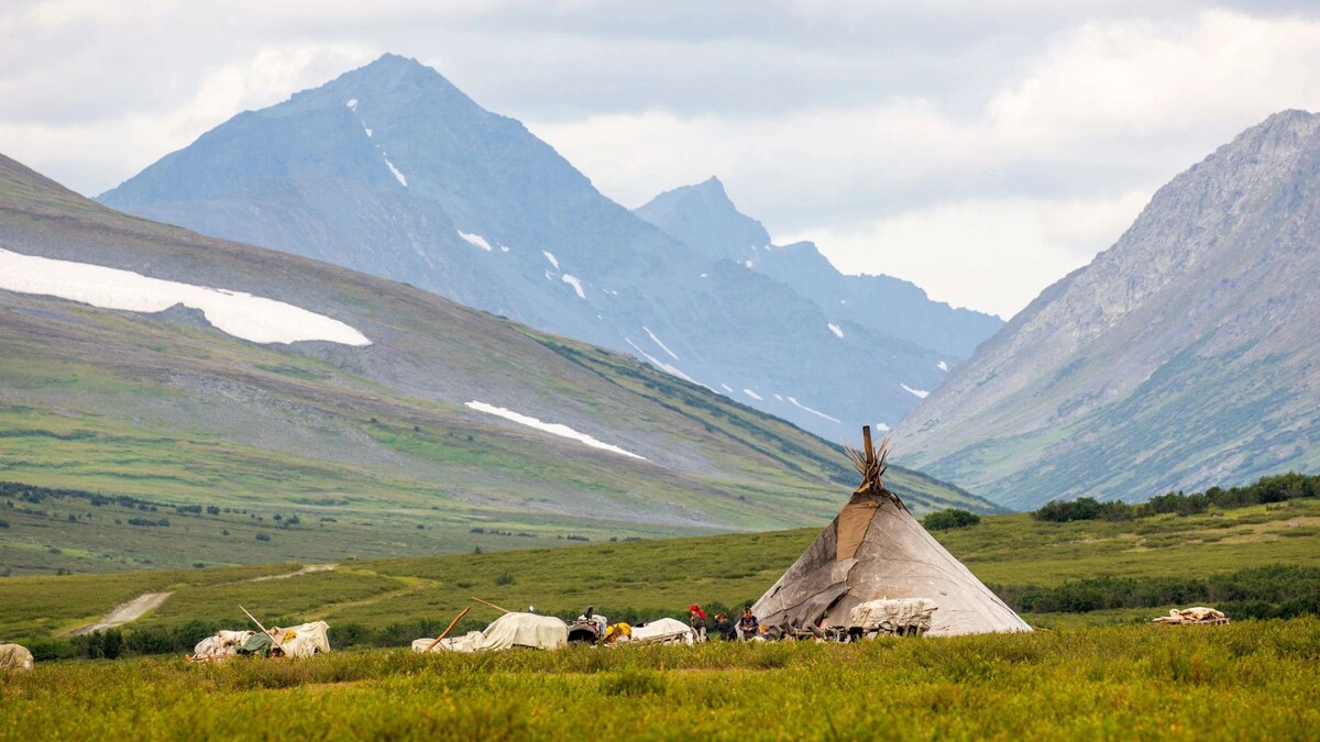    Фото: Kotomiti Okuma/Shutterstock/Fotodom