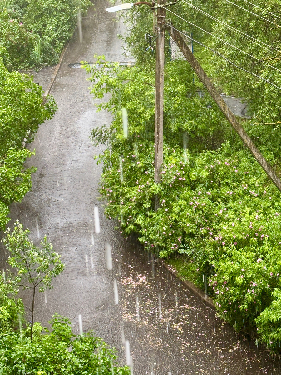 Ливень в июне