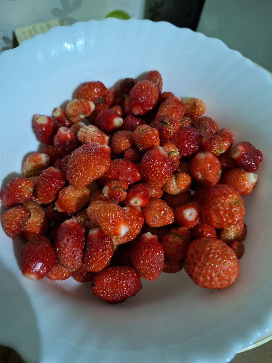 Одно ведёрко клубники.
