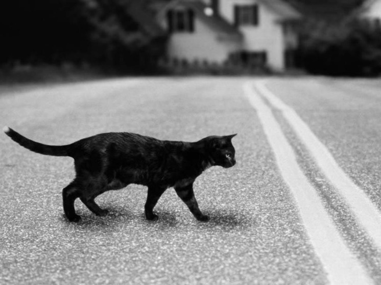 Фото: Яндекс Картинки